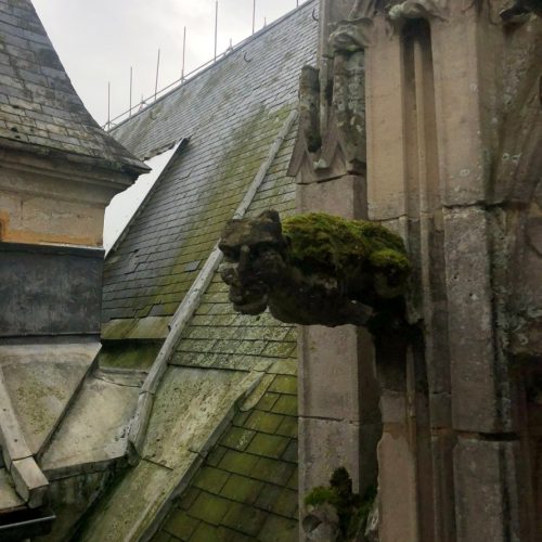 Image8